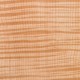 Flame maple Flame maple